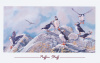 5 Pack of Headwaters Fine Art Cards 5.5" x 8.5" with envelopes - Puffin Stuff